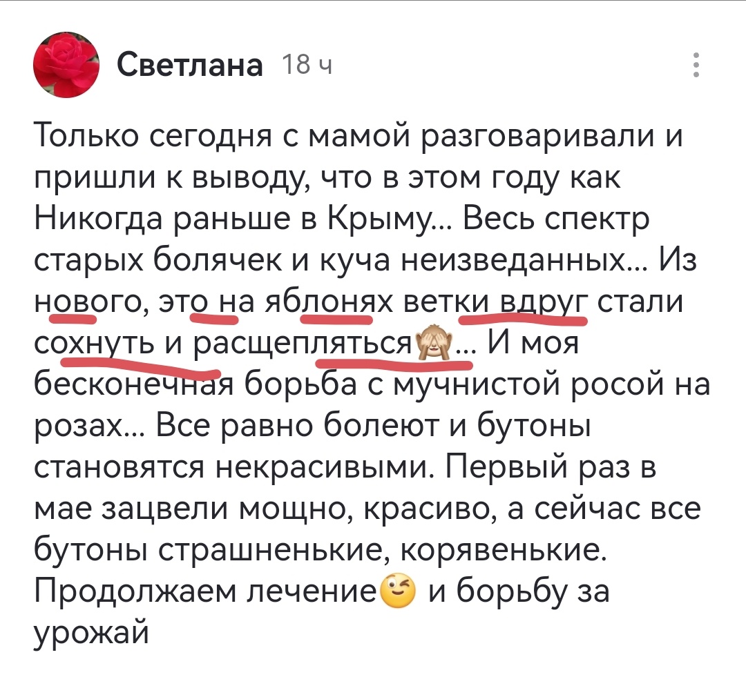 Комментарий под предыдущей статьей