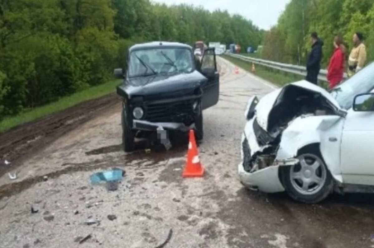    В Шенталинском районе возбуждено уголовное дело после серьёзного ДТП