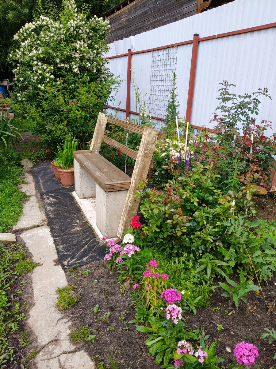 Guirlande d'Amour за скамейкой. Вблизи даже смотреть не на что, очень пострадала от дождей. 