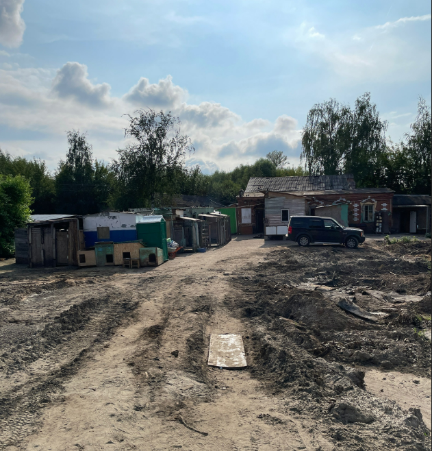 Приют в 2023 году