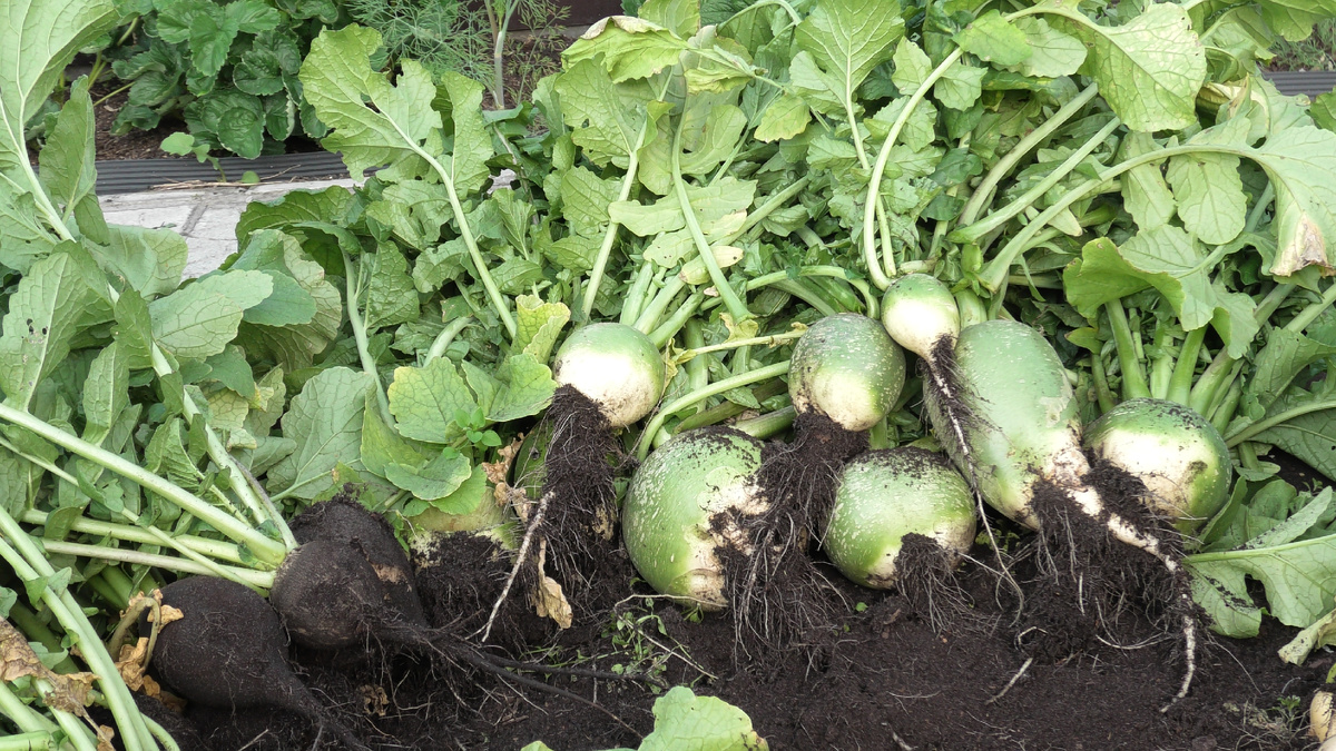 Фото автора канала Дом с кипарисами