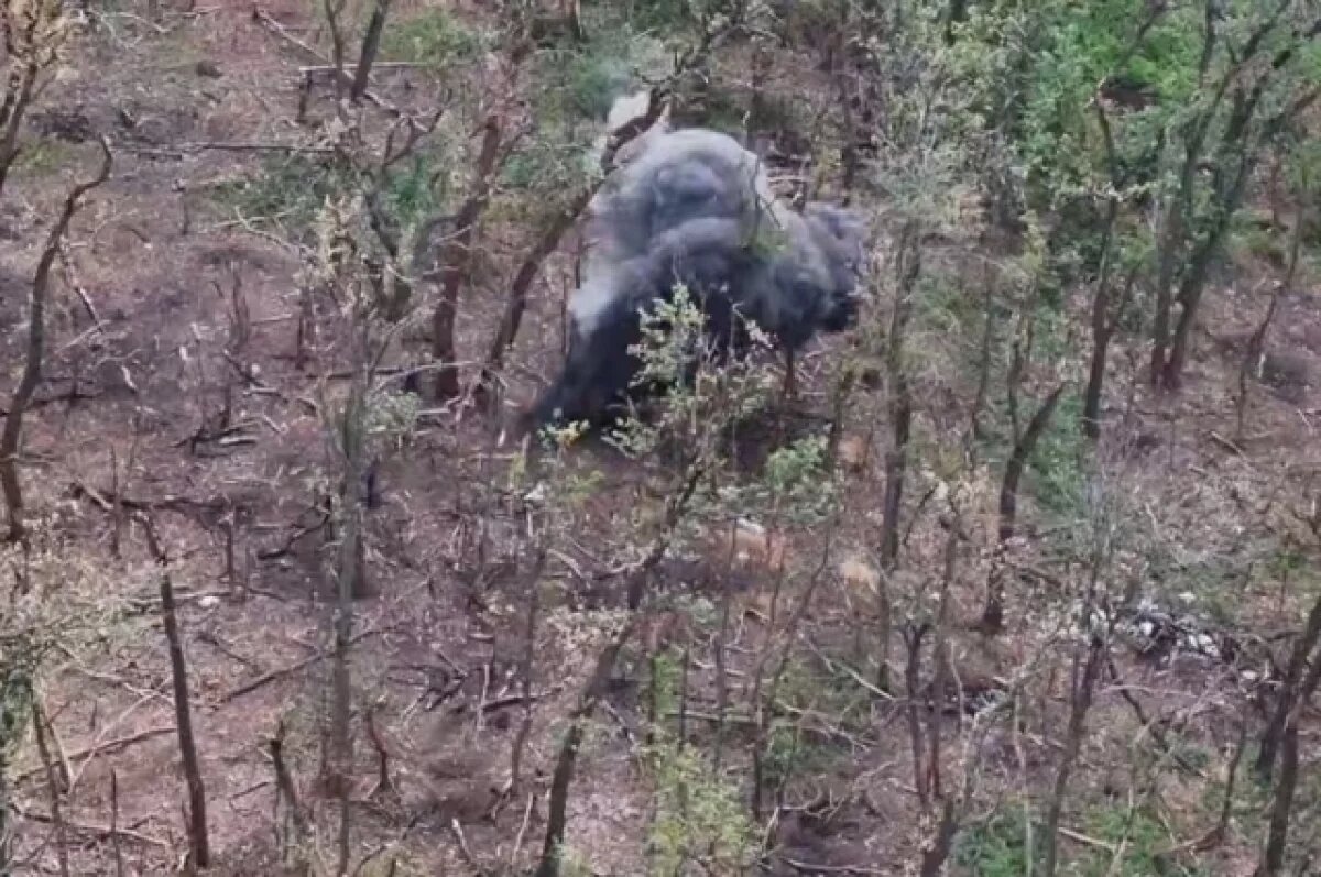    Марочко сказал, где ВСУ уже используют заявленные Сырским «лисьи норы»