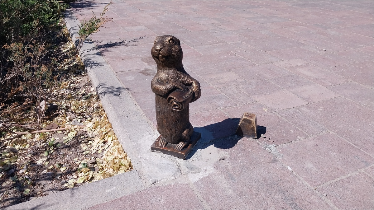 Суслик-основатель, город Волжский