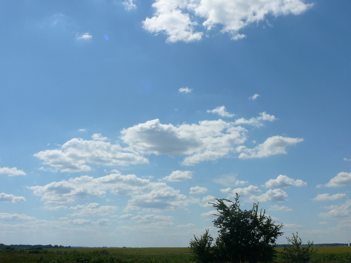 Фото архивное, сентябрь 2011 года (предположительно)