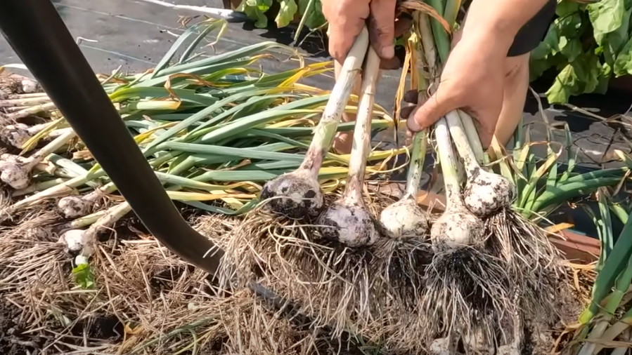 Результат превзошел ожидания