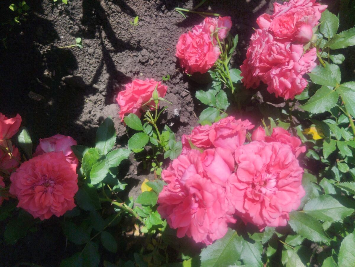 фото Татьяны