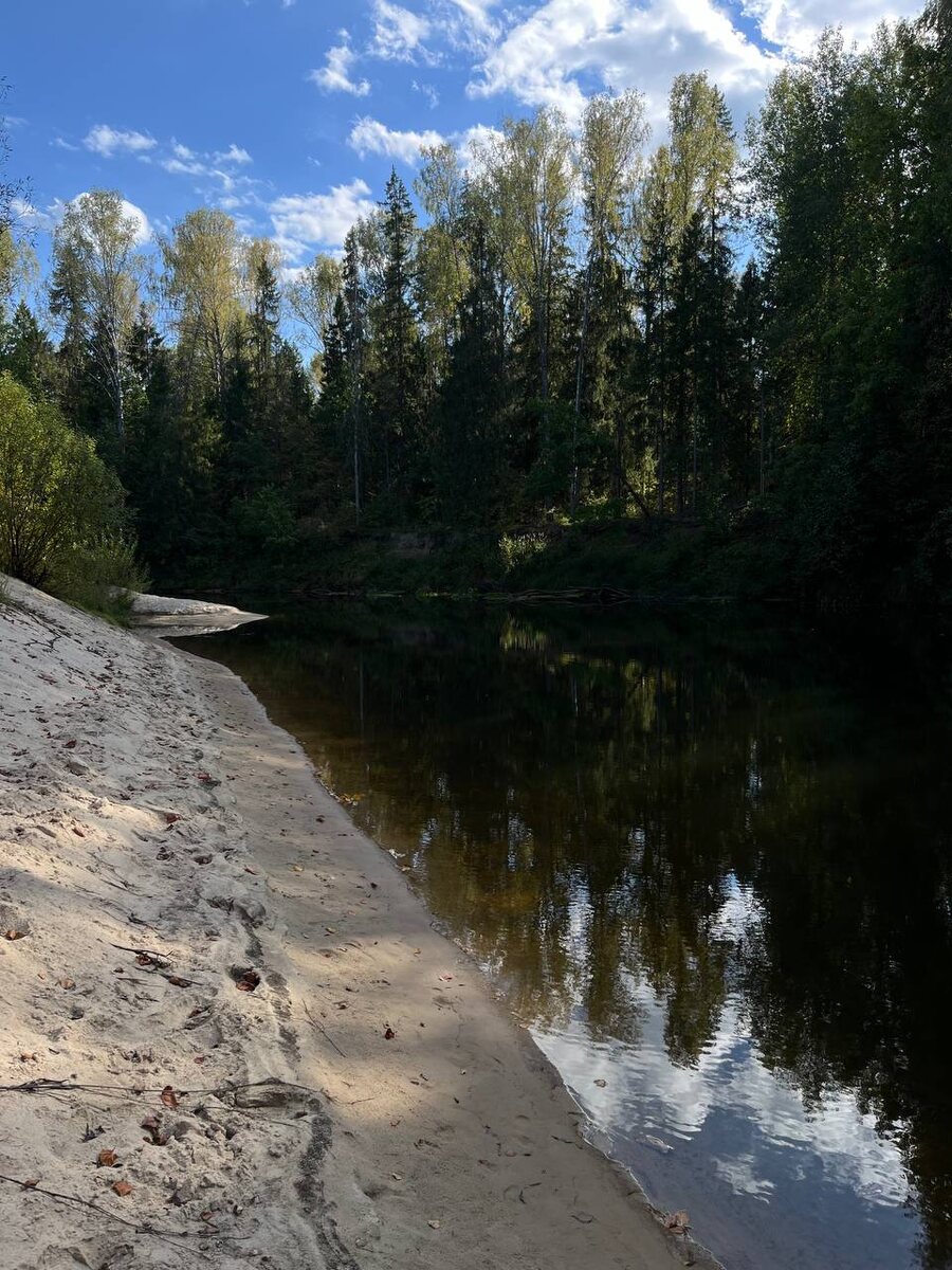 Берег. Керженец.