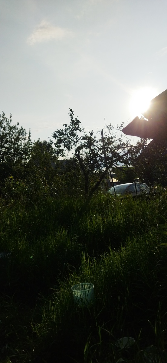 Сердце....Кому надо, разглядит)