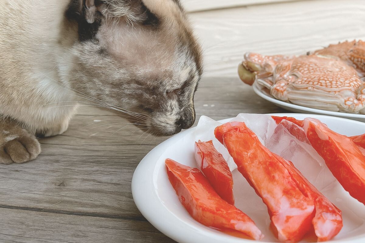 Можно ли кошкам крабовые палочки