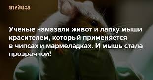 Может и у этого эксперимента есть важные результаты. Здесь заголовок приведен как пример, на первый взгляд, абсурдно звучащей информации, которая тем не менее передаётся