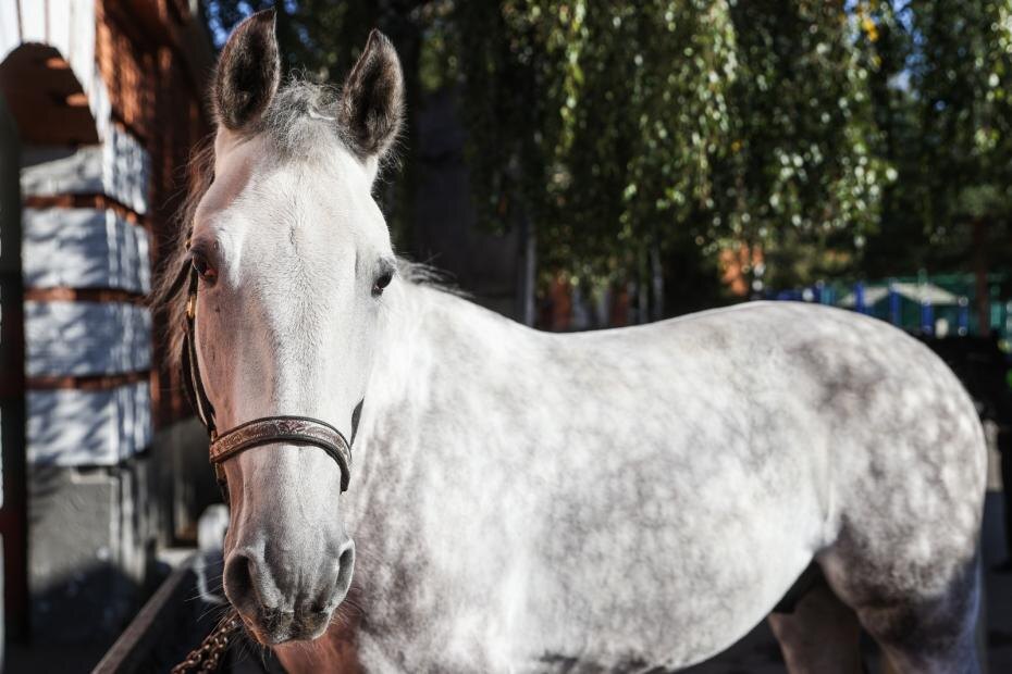    Сергей Булкин/NEWS.ru