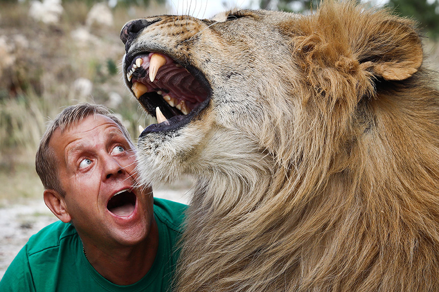    © Сергей Мальгавко/ТАСС