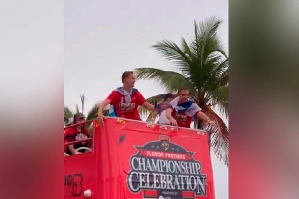    Фото © X.com / v3ktorious