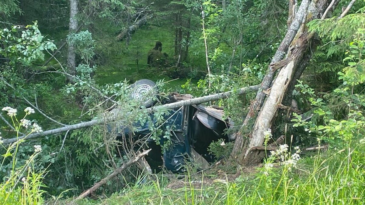    Фото: t.me/prok_lenobl