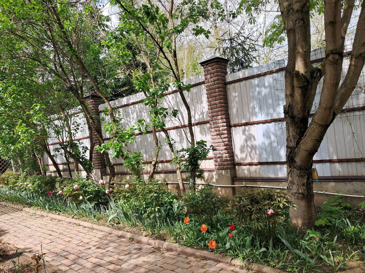 По аллее сирени к месту приложения усилий дачника -садовода