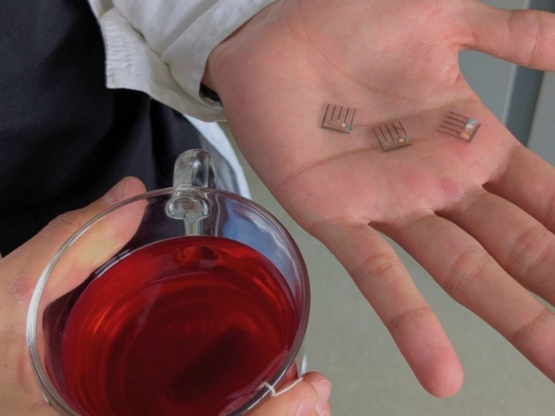    В России создали «электронный язык» для дешёвого анализа жидкостей