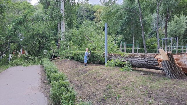     Фото: читатель TV Губернии