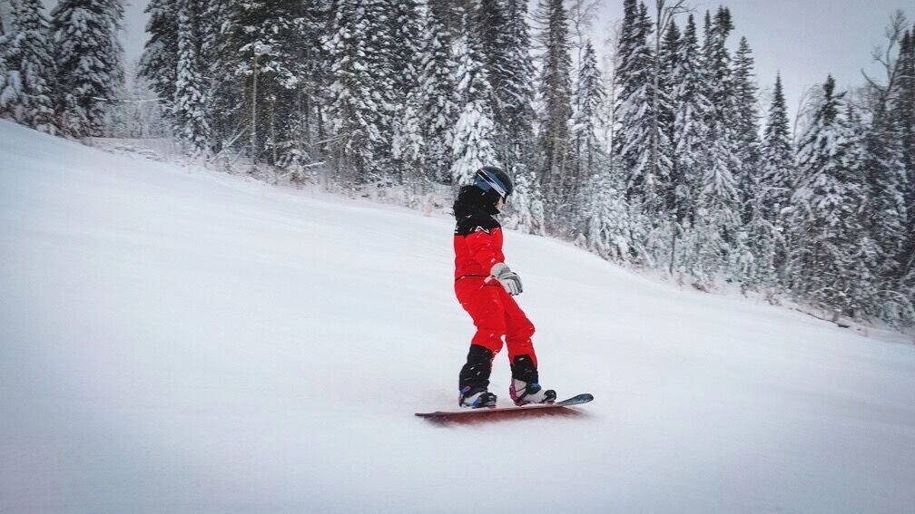     Источник: 1MI