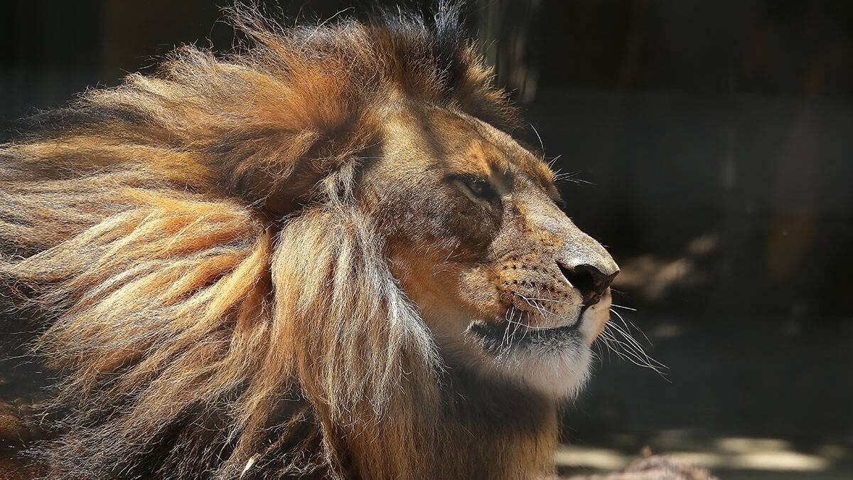    Фото: Shutterstock