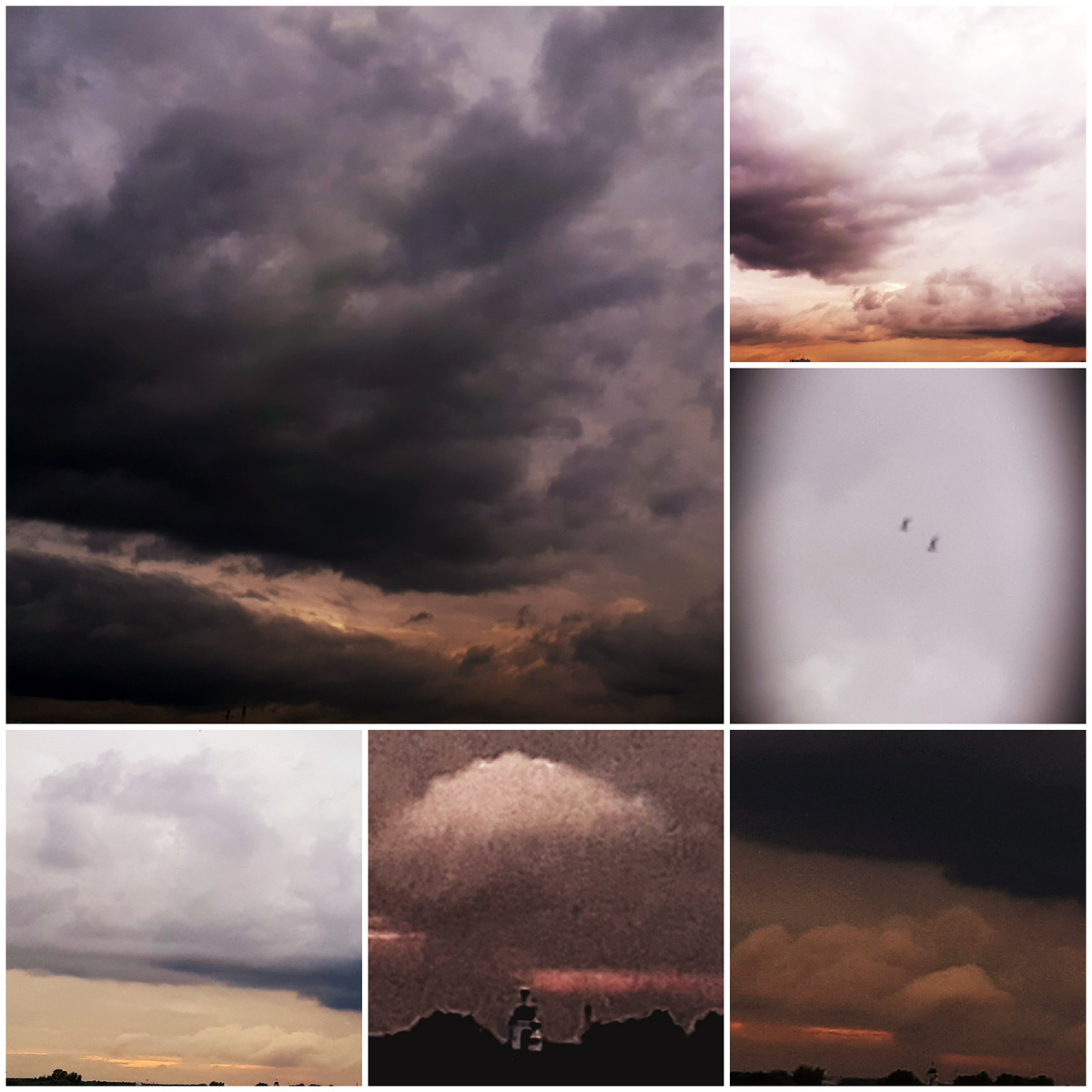 Фото автора 22.06.2025г.