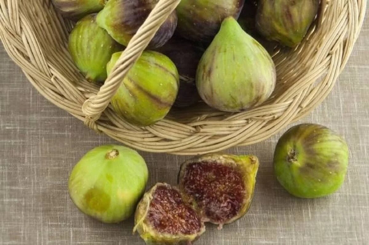    В Тверской оранжерее плодоносит древнейшее культурное растение