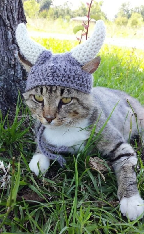 источник pinterest