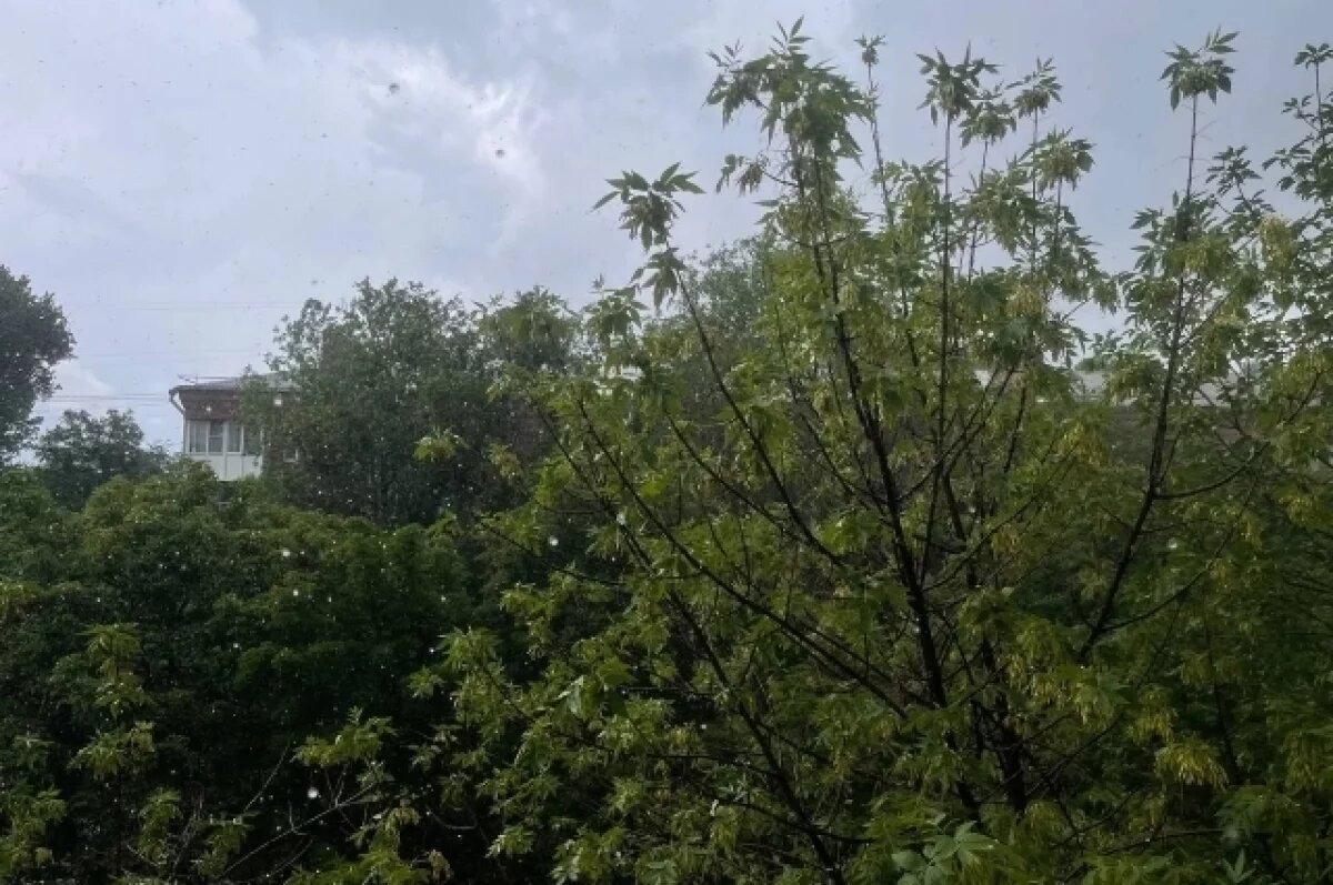    В Ростовскую область 23 июня придут дожди и шквалистый ветер