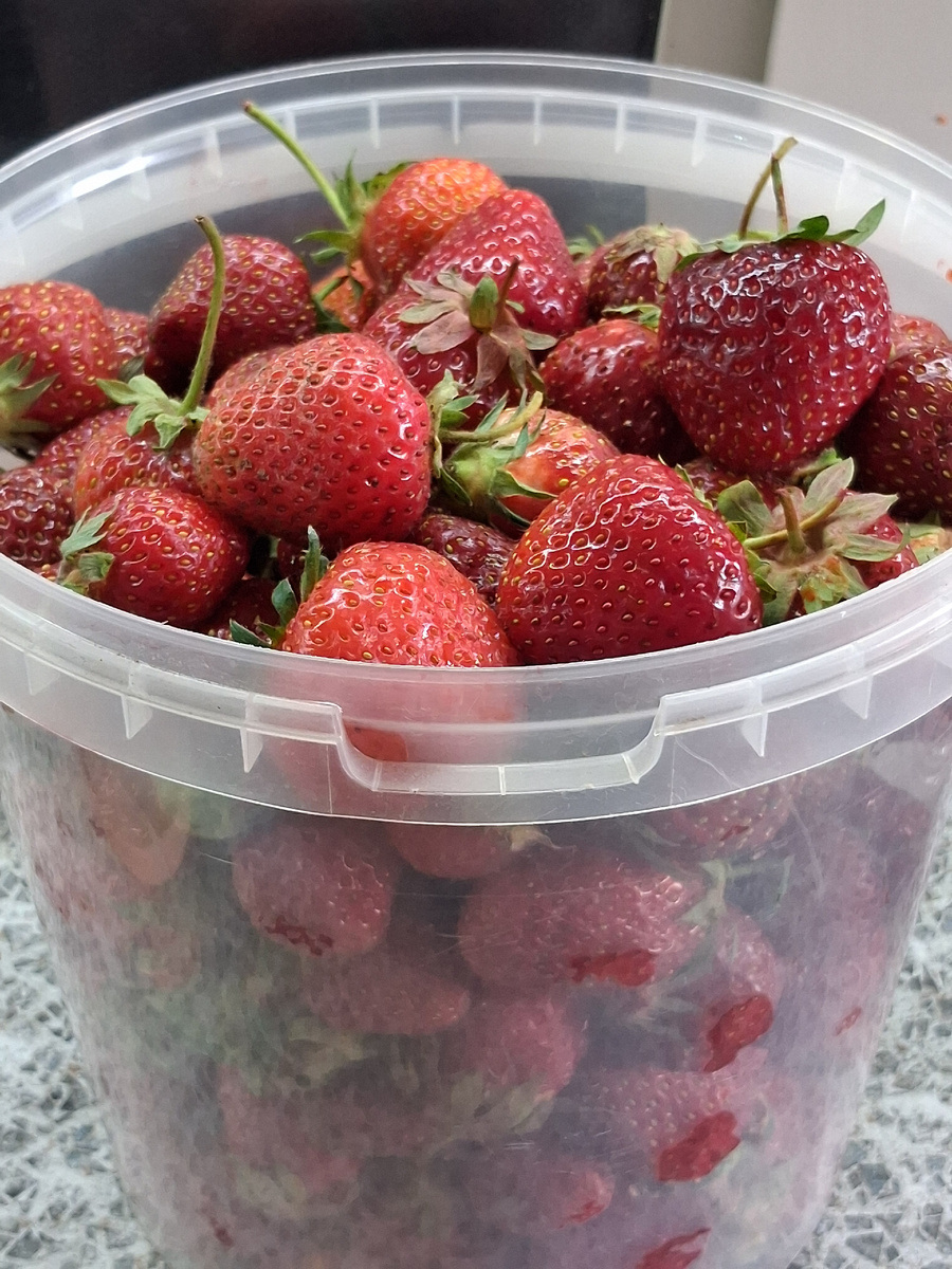 Ягодки для варенья. Фото автора.