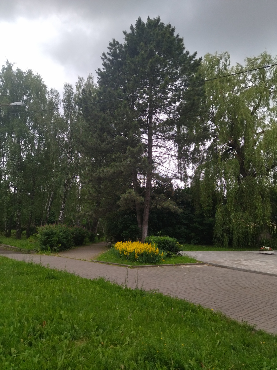 Фото автора "Парк.Начало"