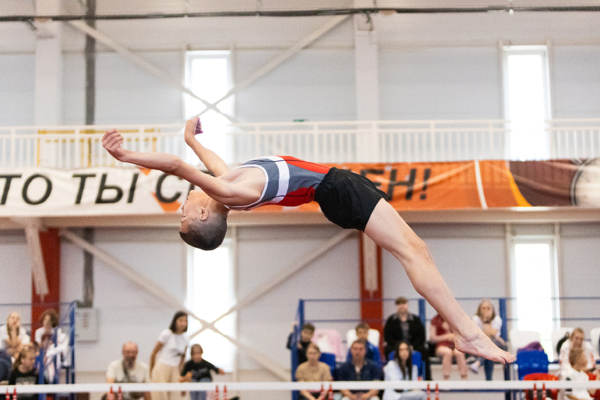 Ильин Артем (Ставропольский край)