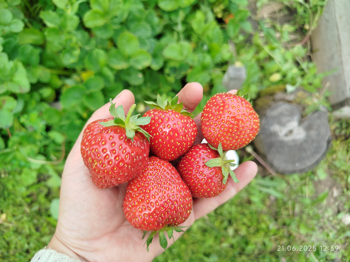 Есть красивая