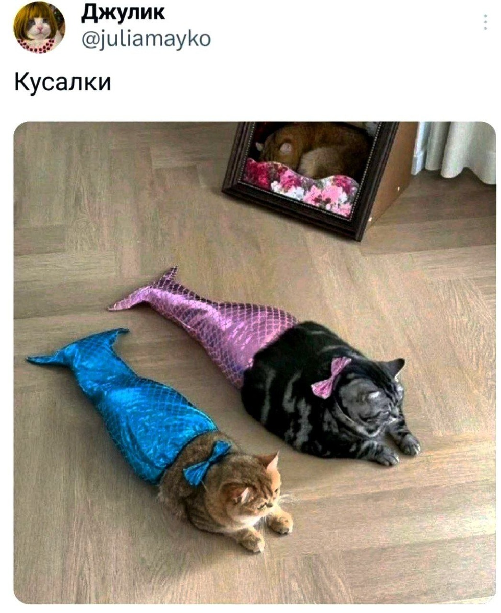 Русалки от на букву КУ! 