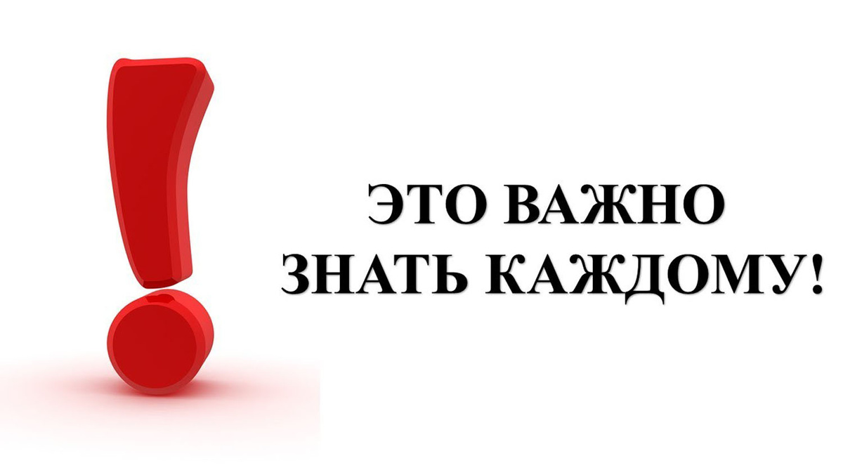 Фото из интернета. 