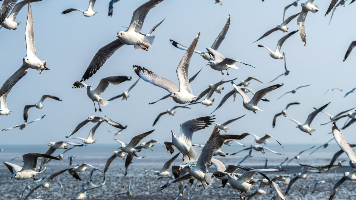 The photo was retrieved from SlidesGo free design maker.