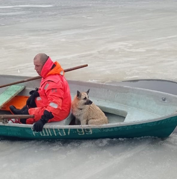    Фото: Госкомитет Карелии по обеспечению жизнедеятельности и безопасности населения