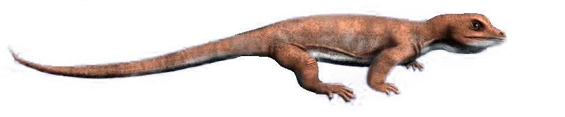 Киргиззавр. Реконструкция.