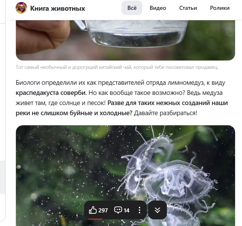 Скрин автора