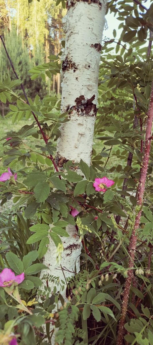 Фото автора.