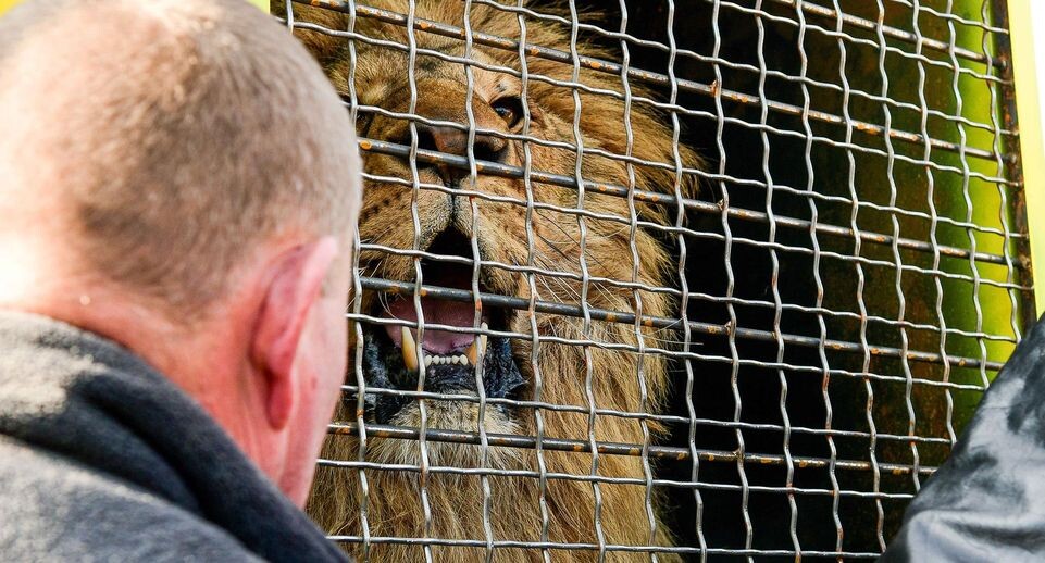    Dmytro Smolyenko/Keystone Press Agency / www.globallookpress.com