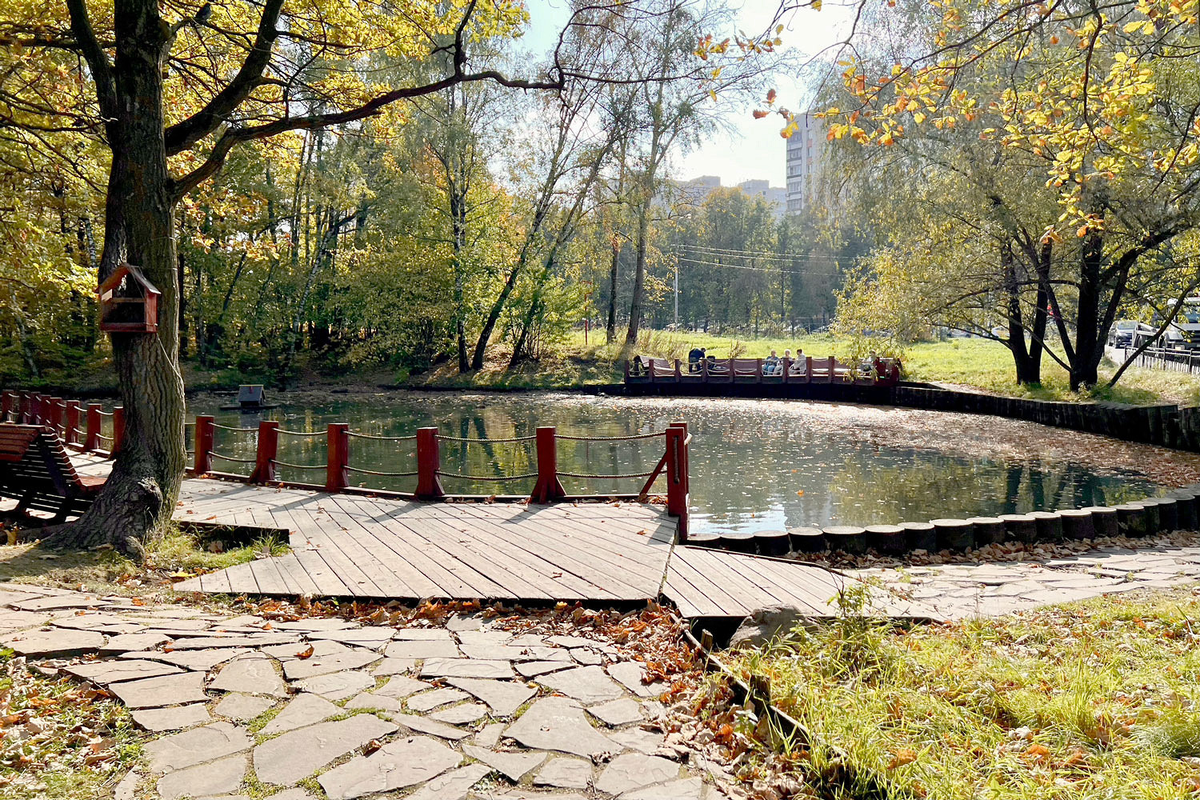 Источник: https://www.moskva.pictures/2023/12/1715-troparevo-2023.html