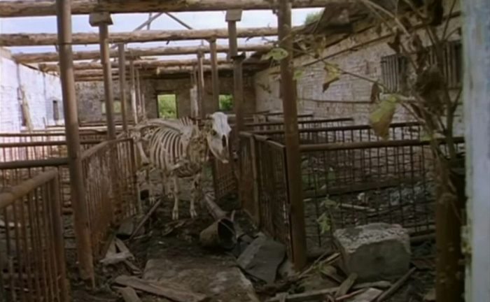 Колхоз «Светлый путь» из того самого фильма. /Фото: ya.ru.