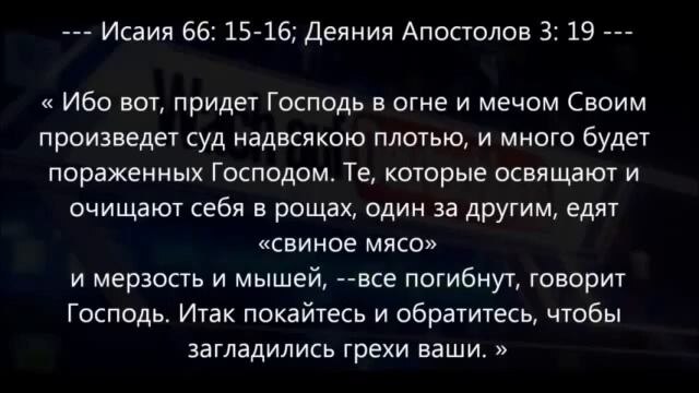 изображение взято из открытых источников интернета