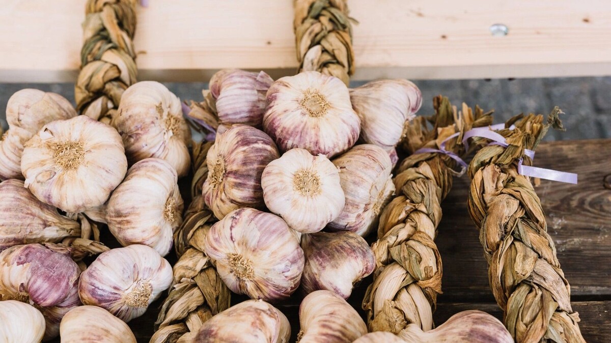     Источник: freepik.com