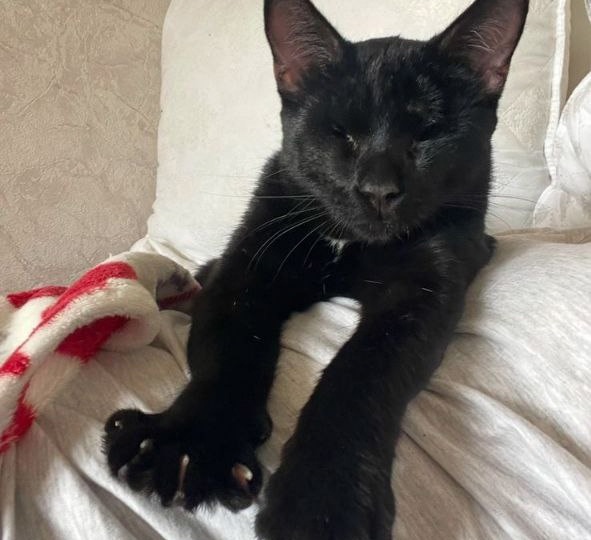 Не видит глазами, но чувствует сердцем! Как живёт наш особенный выпускник?