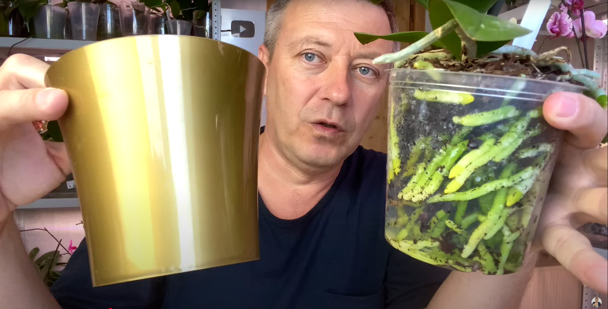 темное кашпо для орхидей