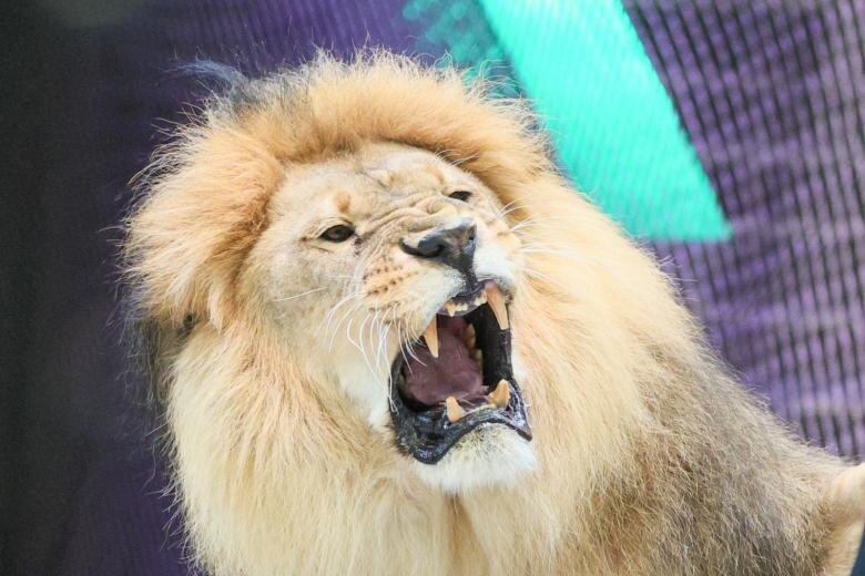    Сергей Булкин/NEWS.ru