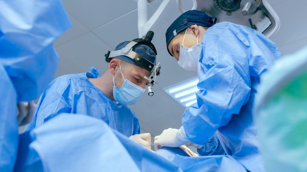    Фото: sergey kolesnikov/Shutterstock/Fotodom