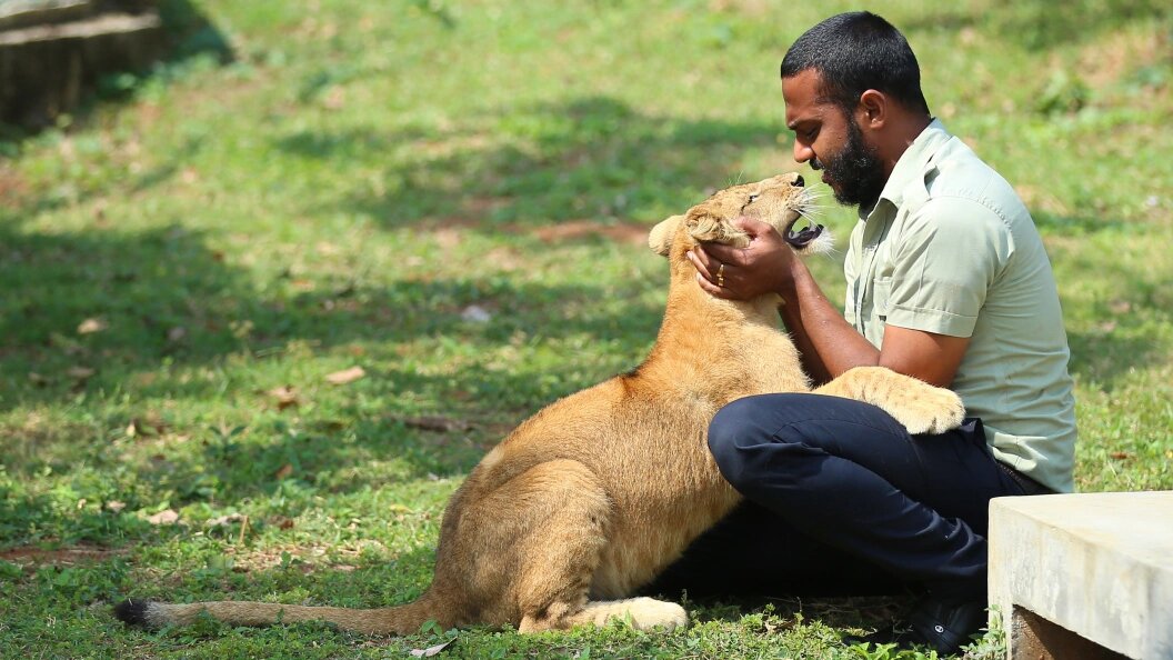    Фото: Matthias Toedt/dpa-Zentralbild/Globallookpress