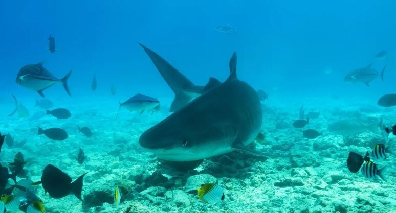    Andrey Nekrasov/imageBROKER.com / www.globallookpress.com