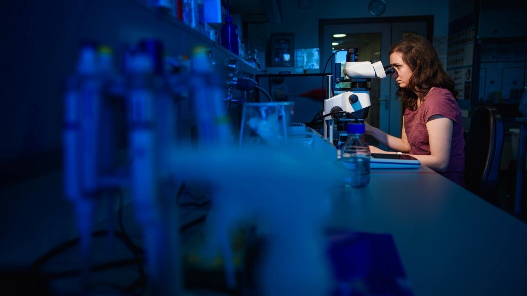    Фото: Gregor Fischer/Globallookpress